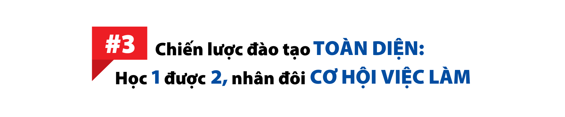 Ngành Logistics đang trên đà tăng trưởng mạnh mẽ tại Việt Nam, với quy mô thị trường ước tính đạt 40 – 42 tỷ USD mỗi năm (theo thông tin từ Hiệp hội Doanh nghiệp dịch vụ Logistics Việt Nam – VLA). Nhất là trong bối cảnh đất nước hội nhập sâu rộng vào nền kinh tế khu vực và thế giới, Logicstics đã vượt xa vai trò của một ngành dịch vụ, trở thành mắt xích chiến lược quan trọng trong chuỗi cung ứng toàn cầu. Cộng hưởng việc tham gia các hiệp định thương mại tự do và lợi thế về địa kinh tế đang mở ra cơ hội nghề nghiệp cho sinh viên học ngành Logistics. Tuy nhiên, những điều này cũng đặt ra yêu cầu cao hơn về nguồn nhân lực do các tập đoàn đa quốc gia, các hãng tàu lớn ưu tiên tuyển dụng nhân sự có trình độ chuyên môn, am hiểu các tiêu chuẩn quốc tế và khả năng ngoại ngữ tốt. Theo chia sẻ từ các bạn cựu sinh viên Hoa Sen, việc sở hữu chứng chỉ quốc tế như FIATA thường có lợi thế khi đàm phán mức lương và được doanh nghiệp đánh giá cao.