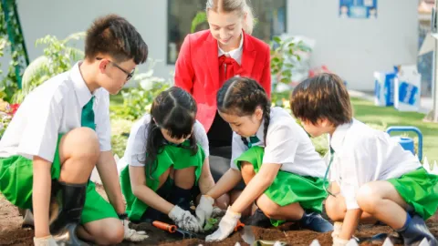 Tổng hợp những điều cần biết về Giáo dục nhân bản