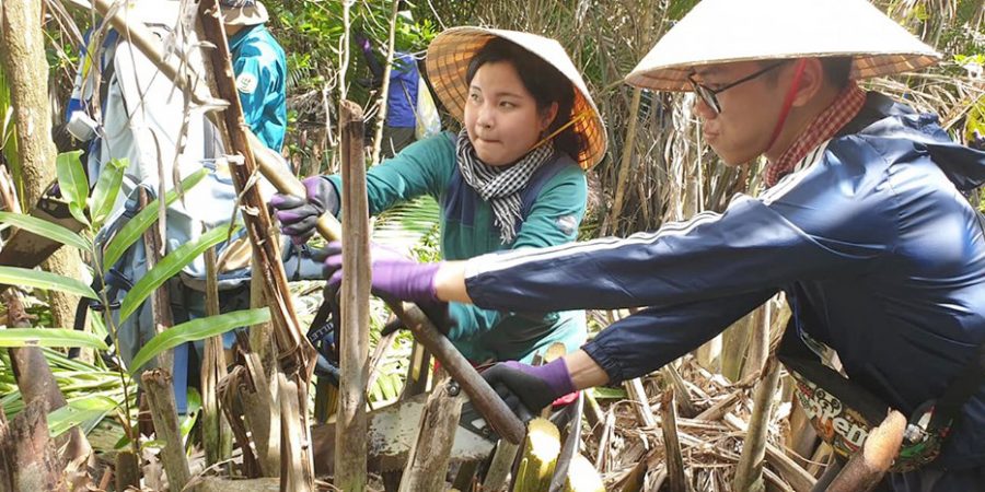 57 33 sinh vien hiu 18 nam miet mai phu xanh rung can gio rung hiu 2 Bùng nổ sáng tạo cùng cuộc thi  “Creativity Explodes”