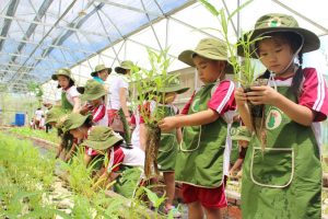 truong mam non quoc te saigon academy day con la hanh trinh kien nhan6 Dạy con là hành trình kiên nhẫn