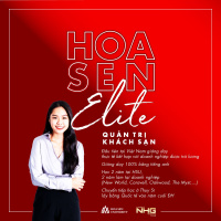 hoa sen elite